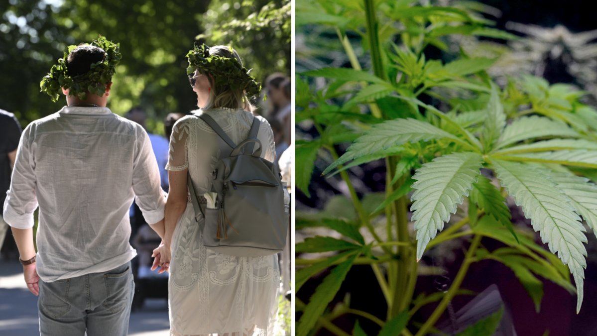 Ett par i Vimmerby odlade cannabis i tre fastigheter i hemorten.